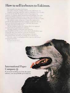 International Paper Company USA 広告 1960年代 エスキモー犬 欧米 雑誌広告 ビンテージ ポスター風 インテリア 額装用 LIFE アメリカ