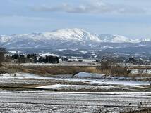 特Ａ産地◆雪若丸◆本場山形県庄内◆新米4年産◆特栽米 検査１等 白米25kg 農薬８割減◆農家直送_画像7