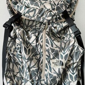 【限定プリント】THE NORTH FACE PURPLE LABEL Print Day Pack TELLUS リュック 