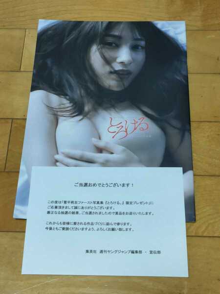 200冊限定　抽プレ　雪平莉左アザーカット写真集　とろける