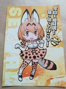  けものフレンズ　イラストカード　サーバル　特典　非売品　吉崎観音