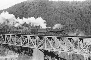 飾って楽しむ鉄道写真（去りゆく蒸気機関車：日豊本線 ） NO.63810276「C57196」