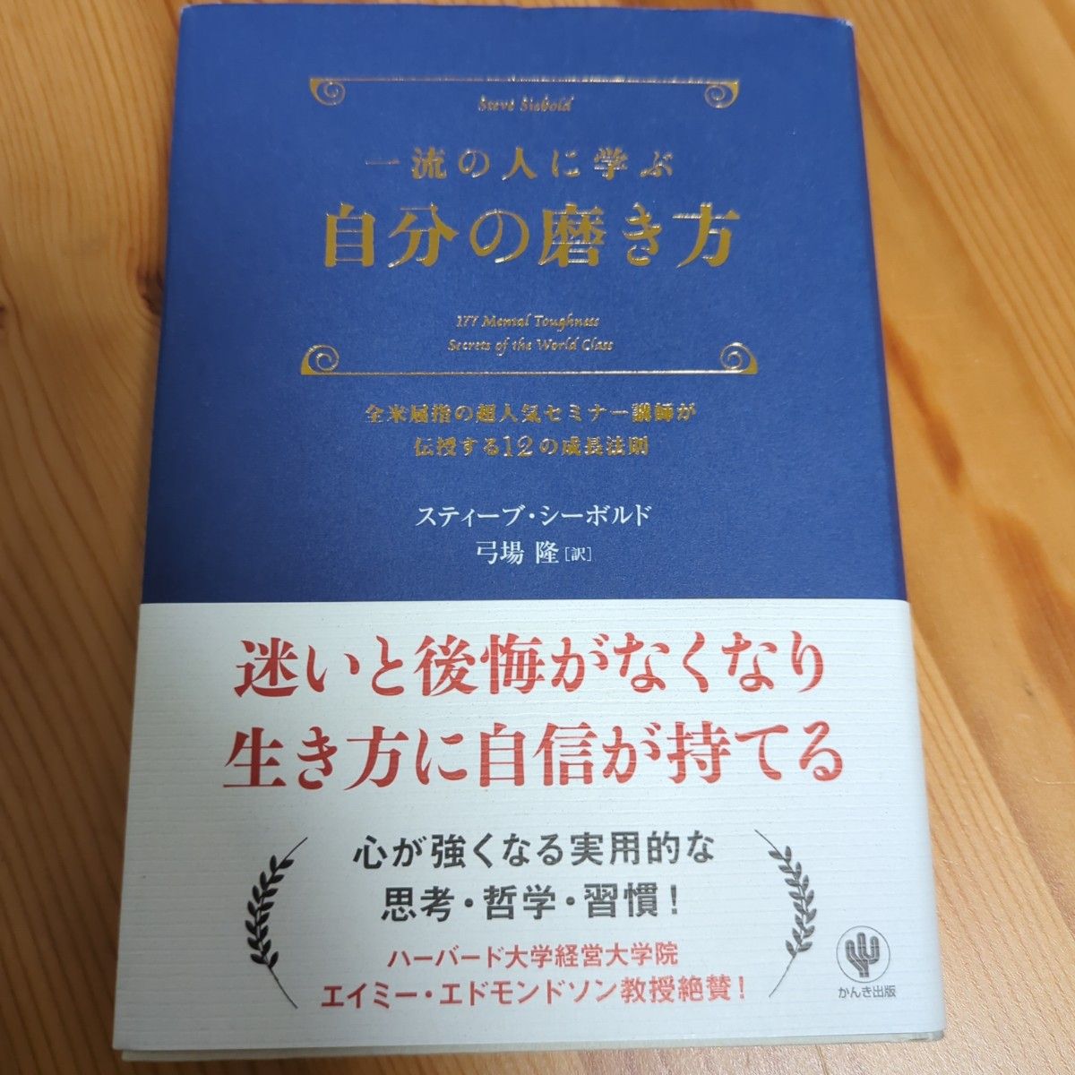 DVD清水義久先生の東寺持国天セミナー「持国天の伝授により絶対安泰を