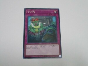 遊戯王☆FLOD やぶ蛇　ノーマルレア 複数有 ☆即決