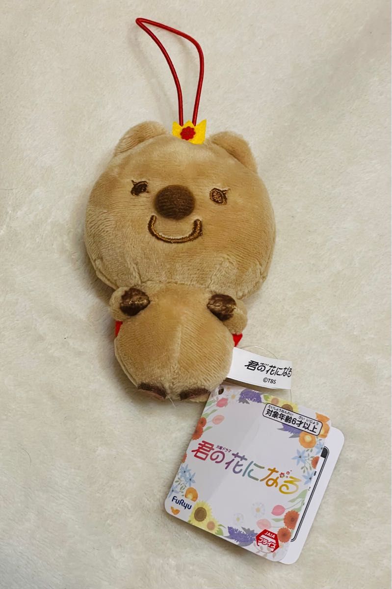 君の花になる 8LOOM ぬいぐるみ 成瀬大二郎 宮世琉弥|PayPayフリマ