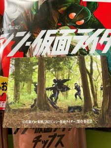 (即決)＃22 自然の力 ライダーの力（No.22）シン・仮面ライダーチップス カルビー 2023年最新版 カード化 送料80円～ 期間限定