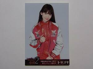 AKB48 小嶋陽菜 マジすか学園2 DVD特典生写真★帯あり★