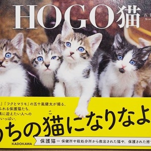 ★送料無料★　『ＨＯＧＯ猫』　五十嵐健太　HOGO猫　保護猫　写真集