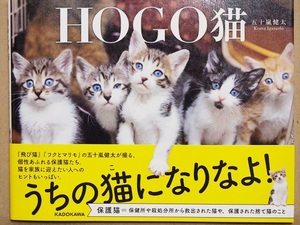 * free shipping * [HOGO cat ]. 10 storm . futoshi HOGO cat protection cat photoalbum 