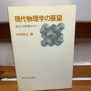 ★大阪堺市/引き取り可★現代物理学の展望 和田照允 東京大学教養セミナー 東京大学出版会 1979年 初版 古本 古書★