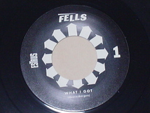 GARAGE PUNK:FELLS / WHAT I GOT(NEW BOMB TURKS,THE DEVIL DOGS,SUPERCHARGER,THE MUMMIES,THE RIP OFFS,TEENGENERATE) _画像3