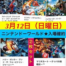 2枚セット★ 3月12日 USJ 任天堂エリア確約 ニンテンドーワールド エクスプレスパス マリオ 整理券 チケット ユニバーサルスタジオジャパン_画像1