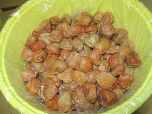 < with translation > no addition .. south height plum white dried . pan production 2L size approximately 10 kilo ( plum meat etc. )