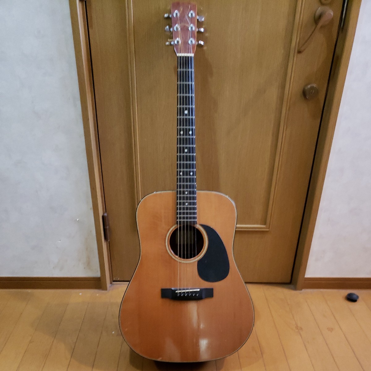 M 021モーリス 新品未使用アコースティックギター www.eva.gov.co