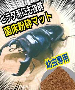 クワガタ幼虫専用　　菌床粉砕マット　瓶に詰めるだけ！オオクワガタ、ヒラタ、ニジイロ、ノコギリなど菌糸系全般に！　初令から3令までOK