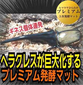 外国産カブトムシに抜群です！極上☆進化した！プレミアム3次発酵マット　トレハロース・キトサン配合！ギネス級狙える！雑虫も湧きません