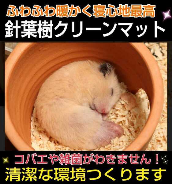 ハムスター・リス・モルモットなどの小動物の床材に！針葉樹クリーンマット　爽やかな香り！　コバエやダニも寄せ付けない抗菌・防臭効果