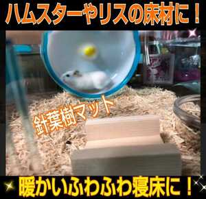  hamster * squirrel *morumoto etc.. small animals. flooring .! needle leaved tree clean mat refreshing . fragrance!kobae. mites ... attaching not anti-bacterial, deodorization effect 