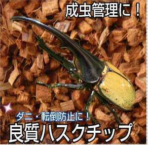 カブトムシに！転倒防止に最適なマット☆成虫管理用ハスクチップ 5リットル袋　厳選した良質な天然素材100％ 消臭・保水性に優れダニ防止に