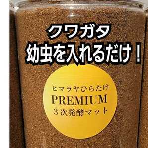 ミヤマ、ノコギリにお薦め！クワガタ幼虫を入れるだけ！便利！クリアボトル入りプレミアム発酵マット【20本】トレハロース・キトサン配合　