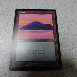 MTG 30A 島 英語 一枚 30th Anniversary Edition 旧枠 585 即決