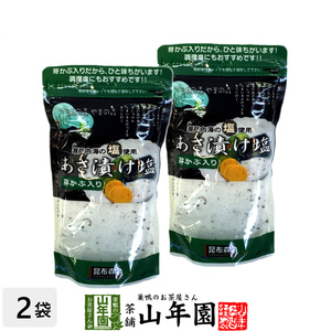 浅漬けの素 280g×2袋セット あさ漬け塩 芽かぶ入り 国産 漬物 漬け物 送料無料