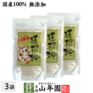 健康食品 蓮根粉 100g×3袋セット 国産 無添加 れんこん粉 レンコンパウダー 蓮根粉末 送料無料