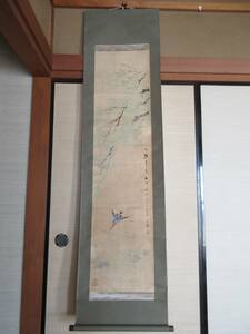 Art hand Auction [Reproduction] Springtime Cicadas by Akitsubo, paper scroll, Painting, Japanese painting, Flowers and Birds, Wildlife