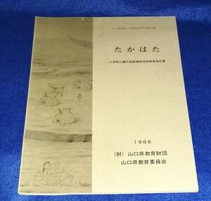 ●●　たかはた　大津郡日置町高畑遺跡発掘調査報告書　山口県埋蔵文化財調査報告第94集　山口県教育委員会　1986年　　23R02s