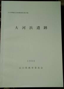 ●●　大河浜遺跡　山口県埋蔵文化財調査報告第165集　山口県教育委員会　1994年　　23R04s