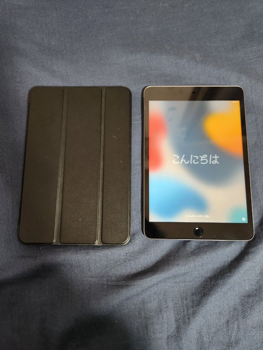 iPad mini 4 64GB Wi-Fi MK9G2J/A 【25%OFF】 www.shelburnefalls.com