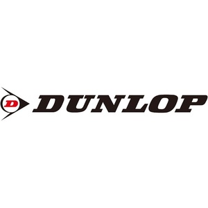 業販 タイヤ 4本 ダンロップ ALL SEASON MAXX AS1 215/50R17 DUNLOP マックス エーエスワン オールシーズンタイヤ タイヤのみ 新品