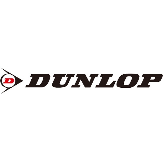 業販 タイヤ 4本 ダンロップ ALL SEASON MAXX AS1 225/65R17 DUNLOP マックス エーエスワン オールシーズンタイヤ タイヤのみ 新品