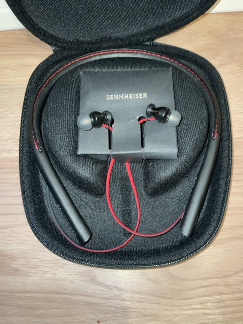 芸能人愛用 ゼンハイザー カナル型イヤホン MOMENTUM In-Ear villarce