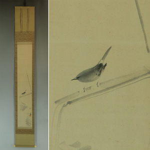 Art hand Auction [Authentic] Moritsuki Castle [Wakasui] ◆Paper book◆Box included◆Hanging scroll u10117, Painting, Japanese painting, Flowers and Birds, Wildlife