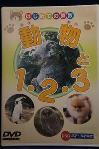 98_03296 はじめての算数 動物と1・2・3