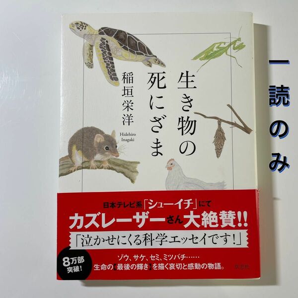 生き物の死にざま 稲垣栄洋／著