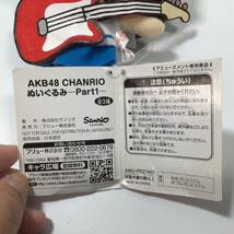 N-302☆ AKB48　CHANRIO　ちゃんりお　ぬいぐるみーPart1ー　全３種　AMU-PRZ7407　フリュー株式会社　商品タグ付き　アミューズメント景品_画像10