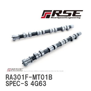 【RSE/リアルスピードエンジニアリング】 カムシャフト SPEC-S 4G63 EVO9 EX 272-10.20 [RA301F-MT01B]
