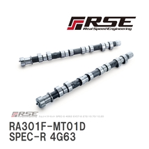 【RSE/リアルスピードエンジニアリング】 カムシャフト SPEC-R 4G63 EVO9 EX 282-11.50 [RA301F-MT01D]_画像1