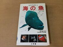 ●P043●海の魚●田口哲●フィールドガイド●図鑑●北海道日本海インド洋紅海カリブ海西部太平洋温帯域サンゴ礁域●小学館_画像1