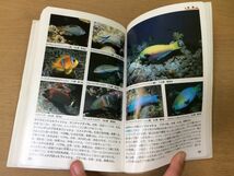 ●P043●海の魚●田口哲●フィールドガイド●図鑑●北海道日本海インド洋紅海カリブ海西部太平洋温帯域サンゴ礁域●小学館_画像4