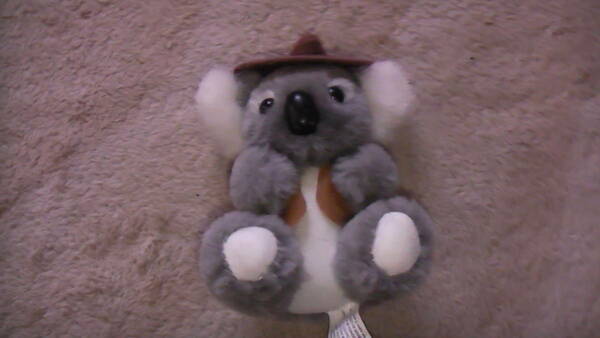 コアラぬいぐるみ　約13cm Grab A Jumback Koala 送料無料