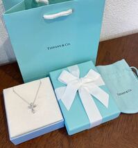 新品 未使用 正規品 ティファニー tiffany&co ネックレス クロス　十字架 シルバー ケース 巾着 紙袋 リボン 箱付き プレゼント ギフト_画像8