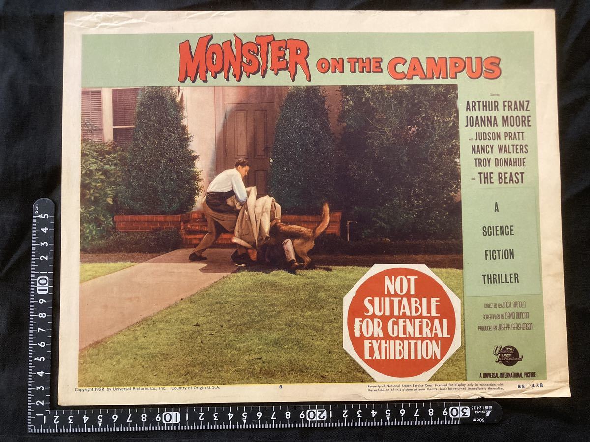 US version original lobby card Monster on the Campus 1958 Arthur Franz Joanna Moore Monster on the Campus Arthur Franz, movie, video, Movie related goods, photograph