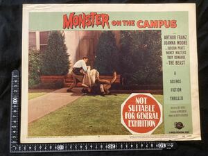 US版 オリジナルロビーカード Monster on the Campus 1958 Arthur Franz Joanna Moore　モンスターオンザキャンパス　アーサー・フランツ