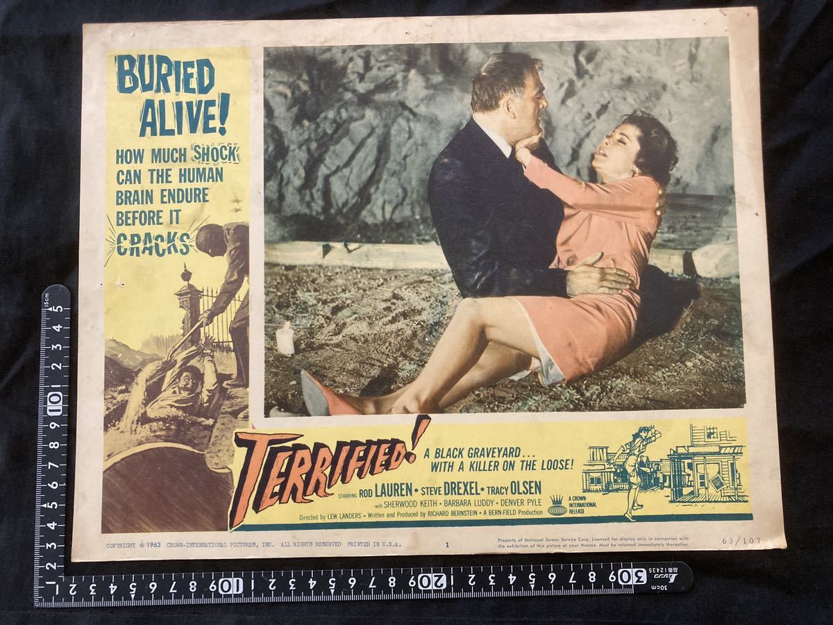 US version original lobby card TERRIFIED! 1963 Rod Lauren Lew Landers Terrified cult horror film, movie, video, Movie related goods, photograph
