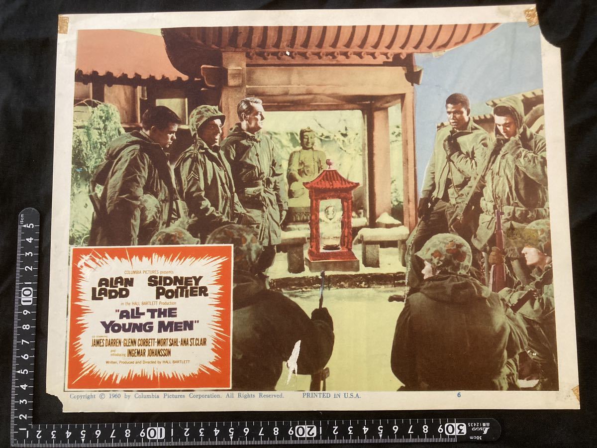 Original US version lobby card ALL THE YOUNG MEN 1960 Hall Bartlett Sidney Poitier 60s war movies, movie, video, Movie related goods, photograph