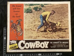 Art hand Auction Original US-Lobbykarte Der Cowboy 1954 Tex Ritter William Conrad John Dehner Westernfilm, Film, Video, Filmbezogene Waren, Foto