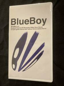 Неокрытый VHS B.V.D ~ Blue Boy Video